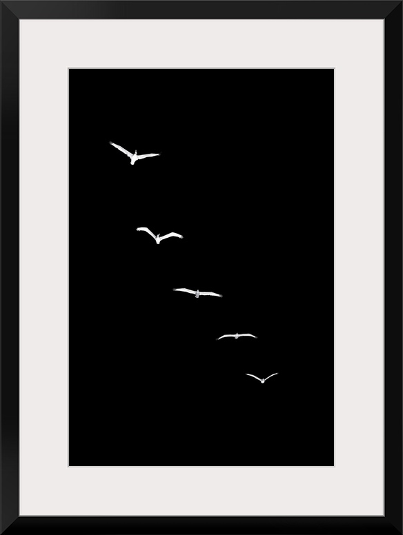 Heavenly Creatures - Dark