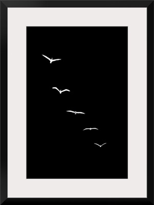 Heavenly Creatures - Dark