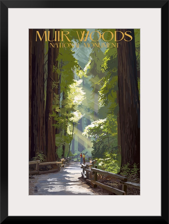 Muir Woods National Monument, California - Pathway: Retro Travel Poster