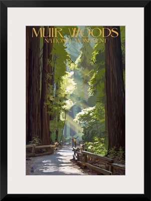 Muir Woods National Monument, California - Pathway: Retro Travel Poster