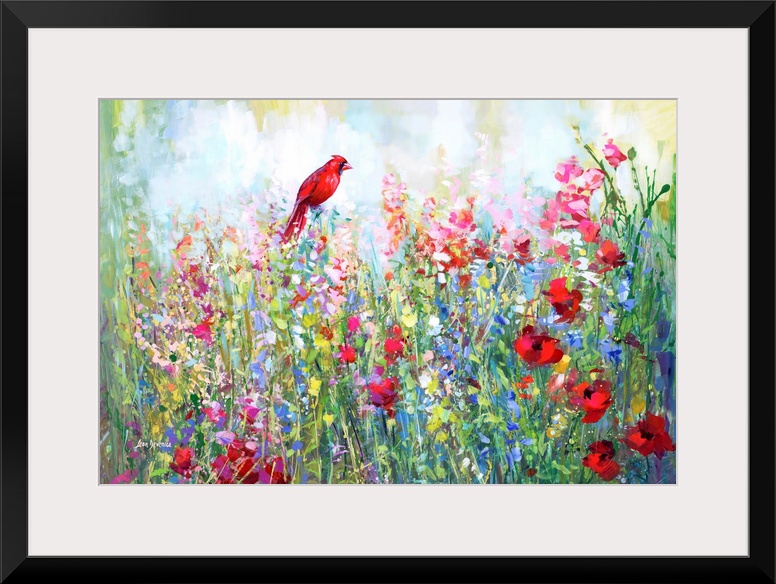 Cardinal among the wildflowers