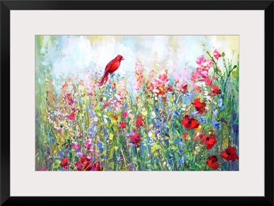 Cardinal among the wildflowers