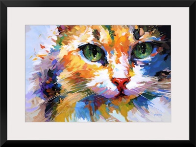 Colorful Cat's Gaze