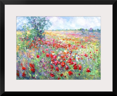 Tuscan Wildflower Field