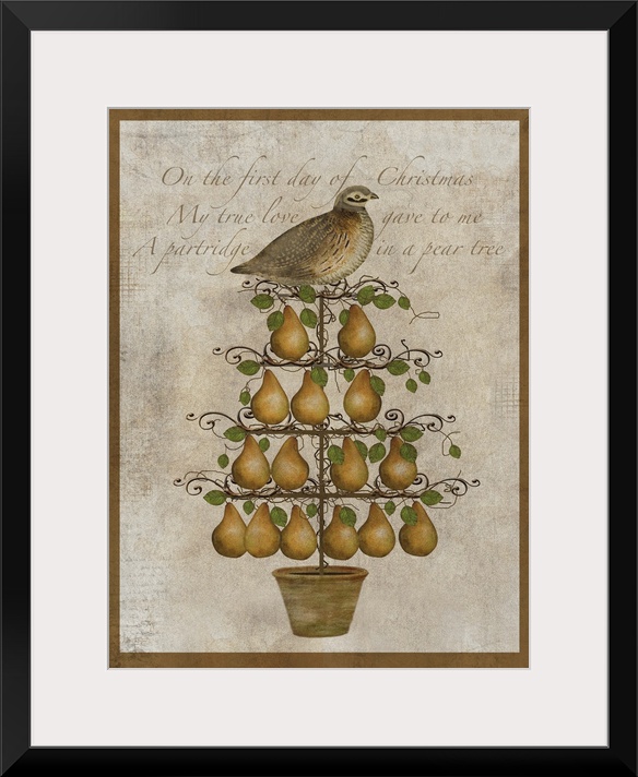 Partridge Pear Tree