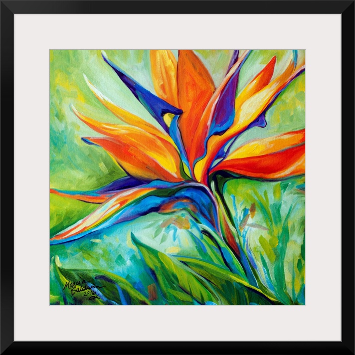 A floral abstract original oil painting of the Bird of Paradise blossom on a square background.