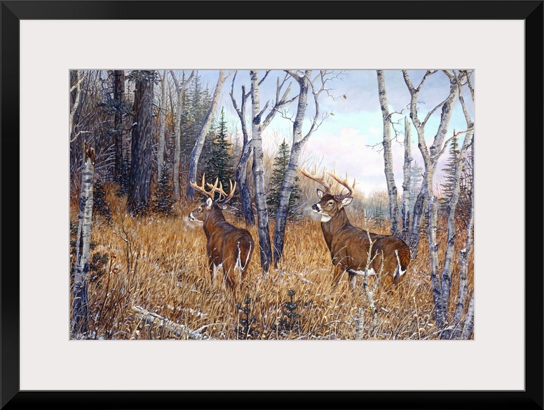 Artwork of two deer in the woods.