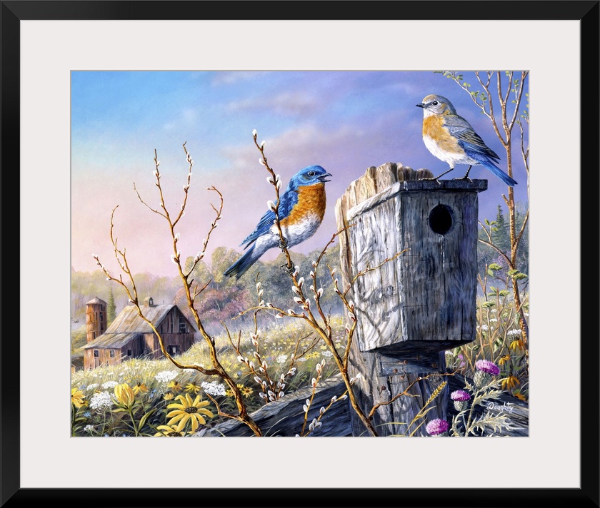 Old Homestead Bluebirds