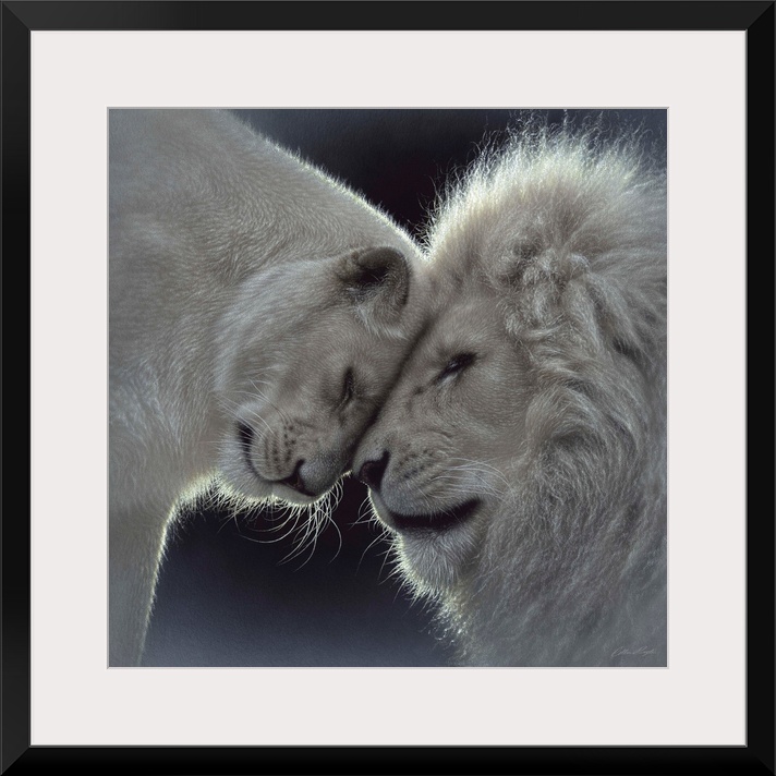 White Lion Love