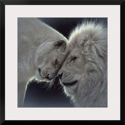 White Lion Love