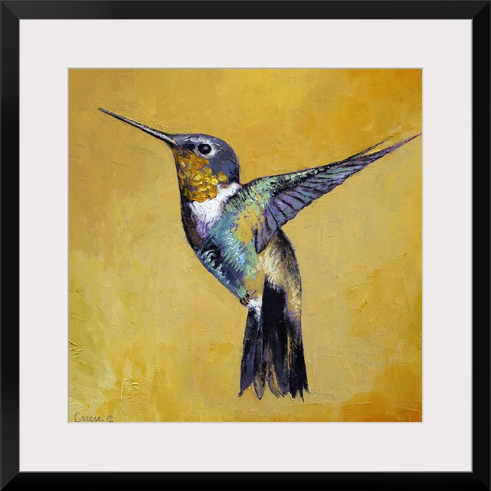 Hummingbird