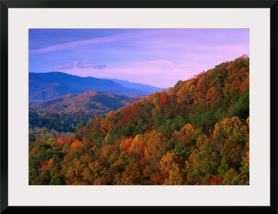 Autumn trees cover the mountain side under a colorful twilight sky in this landscape wall art for the home or office.