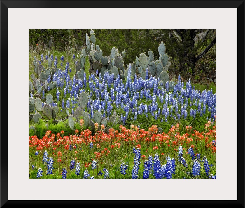 A large decorative piece of wildflowers in a field with cactus intertwined.