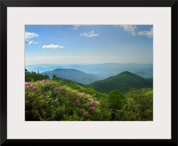 Photograph of tree tops with rows of mountain silhouettes fading into the mist under a cloudy sky.