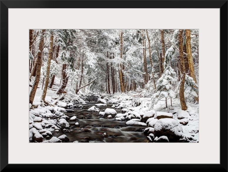 Flowing creek surrounded by several round stones in a forest of thin evergreen trees, covered in fresh snow.