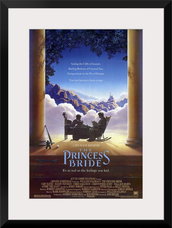 A modern update of the basic fairy tale crammed with all the cliches, this adventurously irreverent love story centers aro...