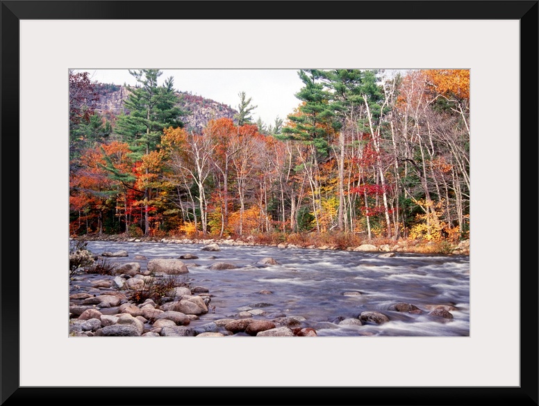 This landscape photograph shows water running rapidly through a rock filled river bed lined with autumn trees in the mount...