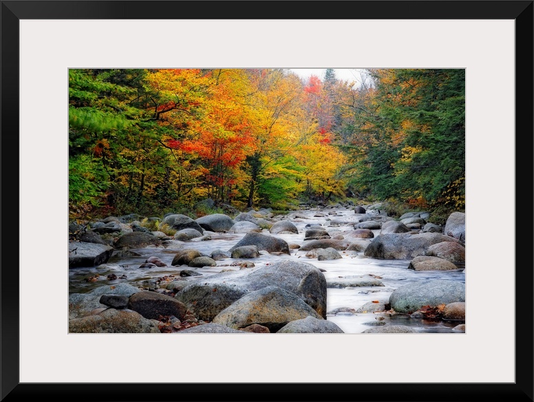 Giant photograph of a quiet river with lots of rocks running through a large colorful forest in Autumn.