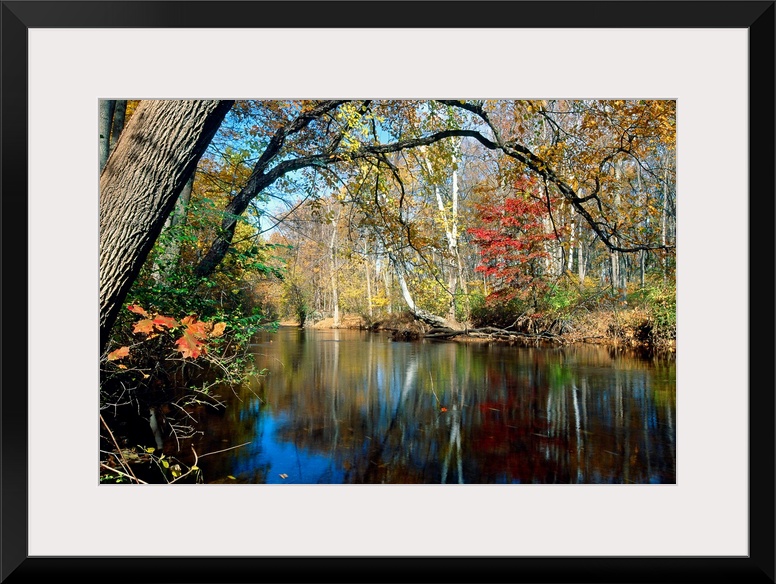 This landscape photograph is the Lamington River flowing through a forest in New Jersey in late autumn or early winter.