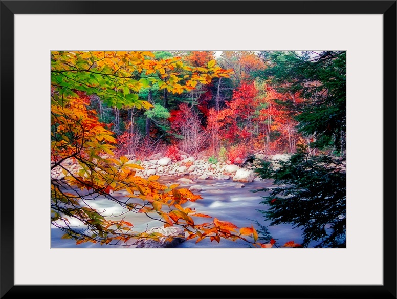 Huge photograph taken from the rocky shore of a stream running through a woodland covered in the colors of Fall.