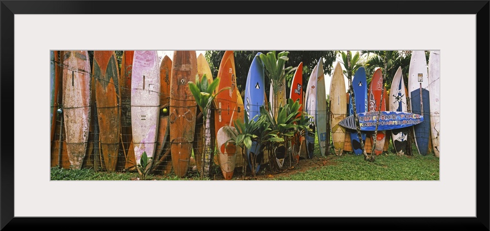 Arranged surfboards, Maui, Hawaii