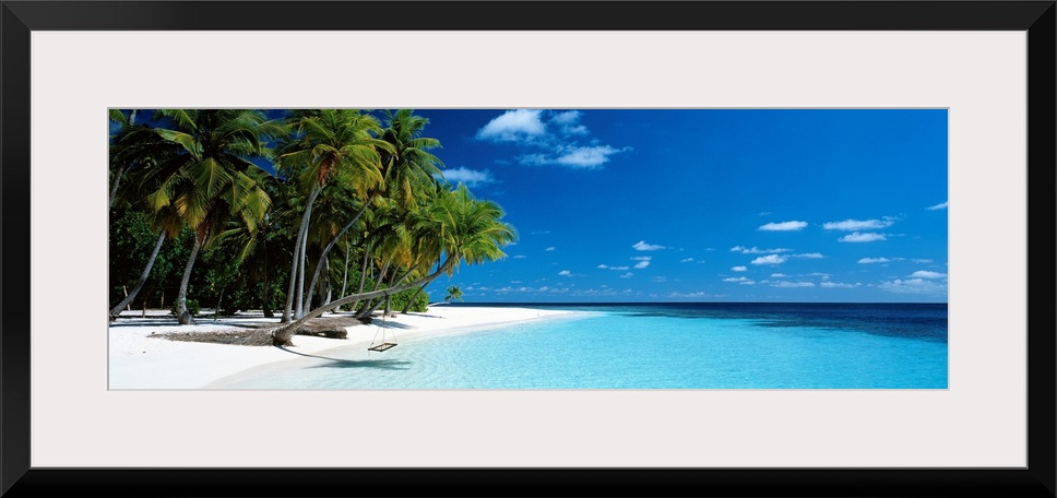 Panoramic photograph of a vibrant beach on a sunny day in Maldives.  The tall palm trees run across the entire edge of the...