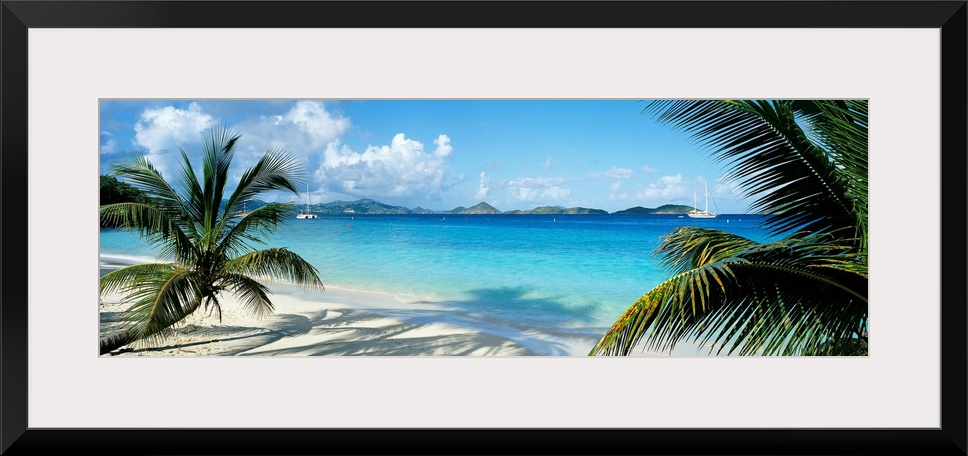 Wide panoramic photograph of windswept trees on a tropical beach with sail boats in the harbor.