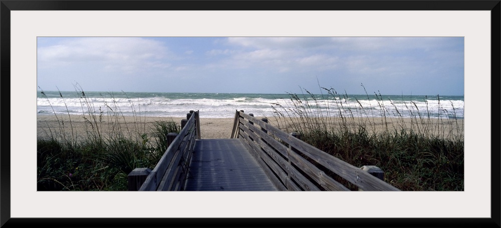 A wide panoramic photograph on canvas perfect for hanging in a living or dining room of a view down a boardwalk through se...