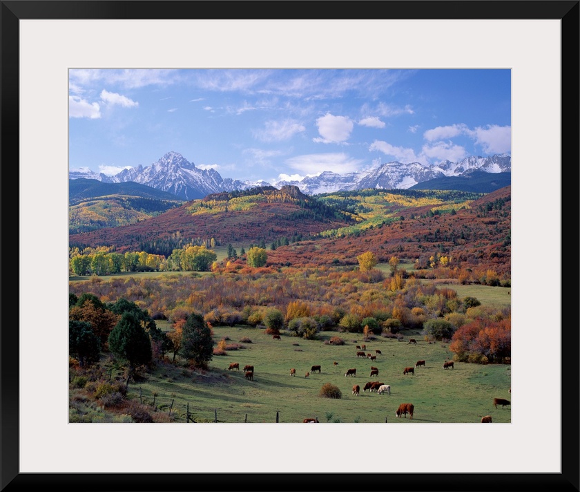 Amazing landscape photograph of farmland, forest, and snowcapped mountains in the Rockies.