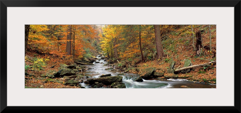 This panoramic wall hanging is a photograph that shows the view up a boulder filled stream in an autumn forest.