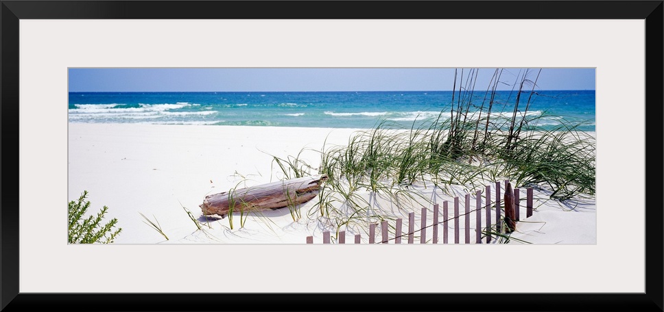 Oversized landscape photograph of a fence running through grasses on the beach, in front of the rippling waters of the Gul...