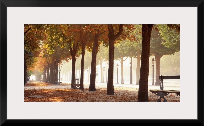 Wide angle view of a tree lined avenue through a park at autumn in Paris. Benches sit between the trunks of mature trees.