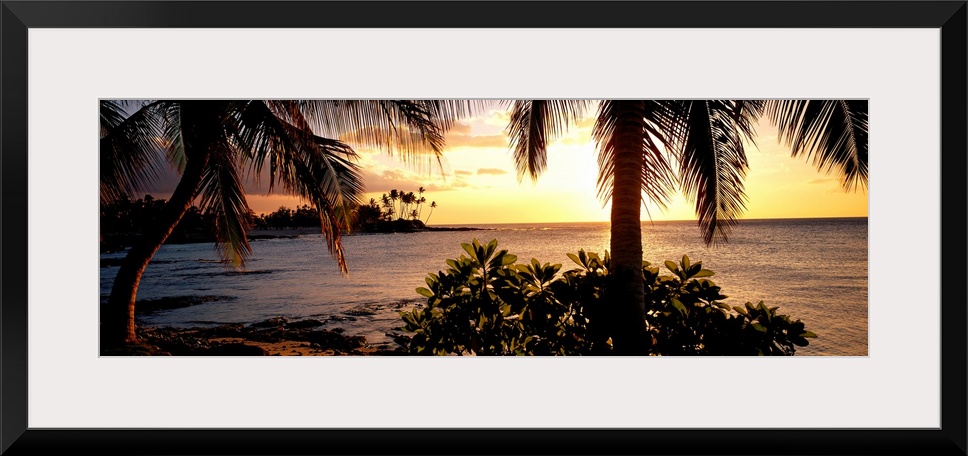 Panoramic wall art photo for the office or home of the Hawaiian coast; palm trees grow along the shore and the sun sets ov...