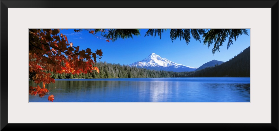 In the wilderness a mountain peak reflects in a lake surrounded by trees on this panoramic wall art.