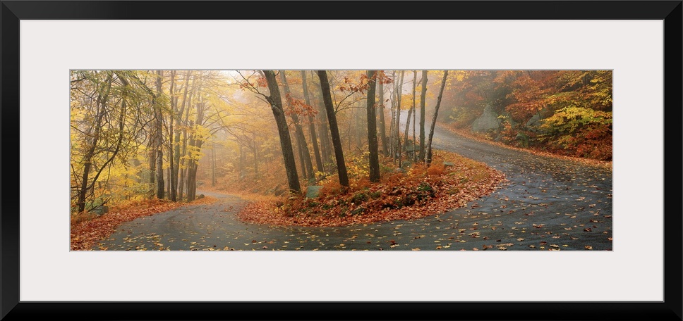 A big panoramic wall hanging of a winding road through a New England forest in autumn.