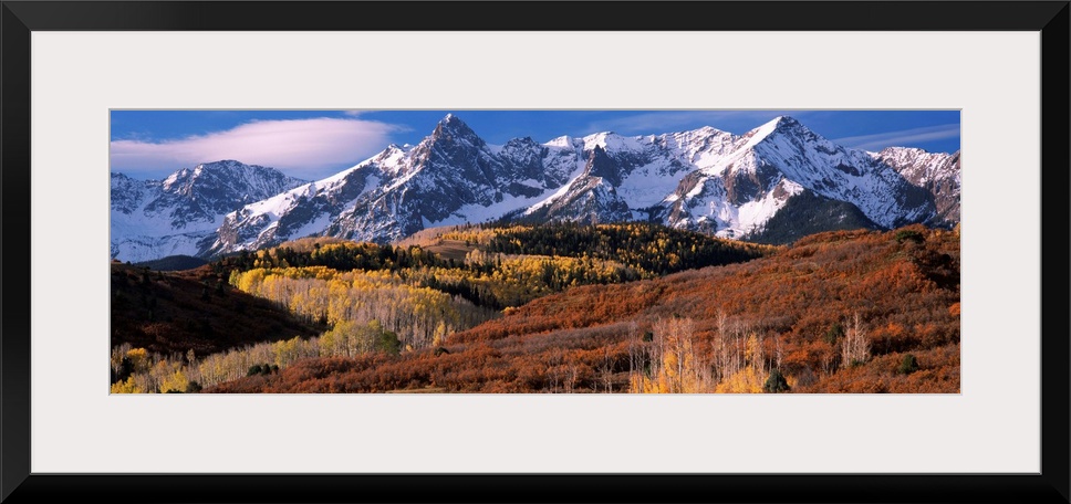 Giant landscape photograph of a golden brown Colorado valley in front of snow covered mountains under a blue sky.