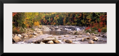 New Hampshire, White Mountains National Forest, River flowing through the wilderness