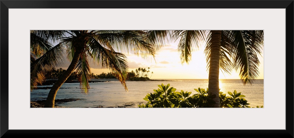 Panoramic wall art photo for the office or home of the Hawaiian coast; palm trees frame the sun setting over the ocean wit...