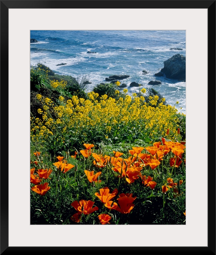 Vertical photograph of florals growing on the top of a cliff overlooking the sea.