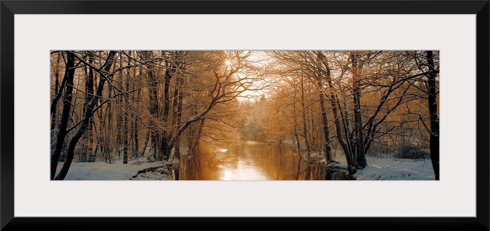 Wall art of a snowy landscape full of trees is divided by a calm river backlit by warm sunlight.