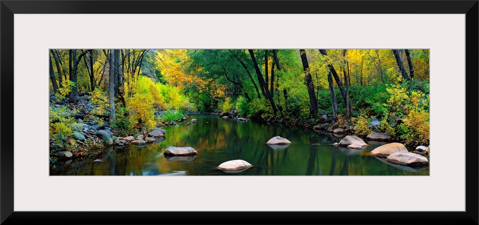 A calm stream flows through a forest in this panoramic landscape photograph.