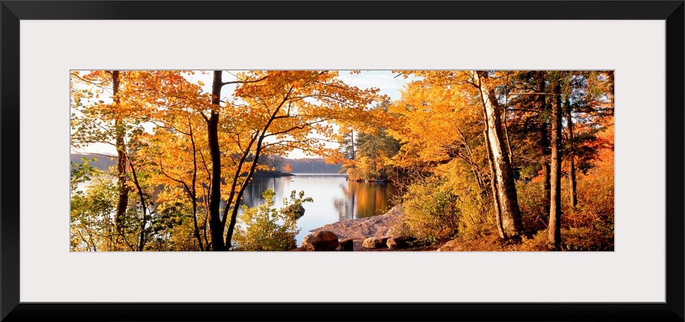 Fall foliage frames a panoramic landscape of a lake with calm smooth water.