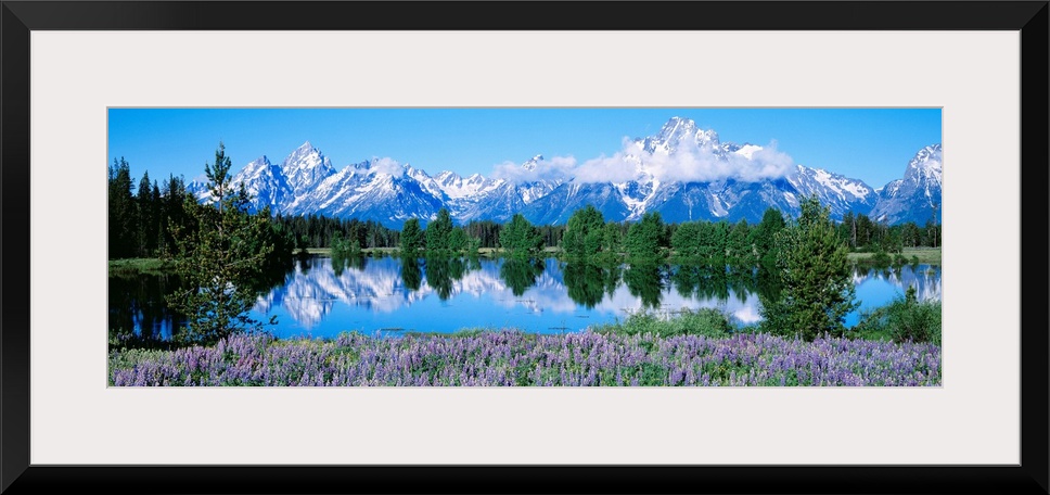 This panoramic landscape photograph shows wildflowers growing around a lake that reflects the trees and snowcapped mountai...