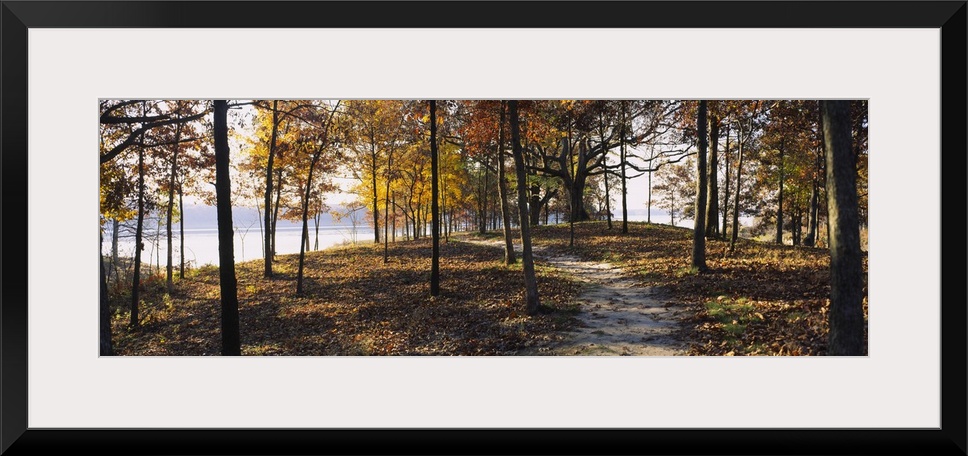 Panoramic photograph of dirt trail winding through an autumn forest with river in the distance.