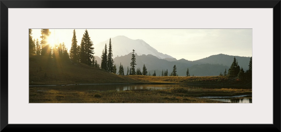 Horizontal, large photograph of the sun setting over a tree covered hillside in Mount Rainier National Park in Washington,...