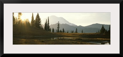 Washington, Mount Rainier National Park