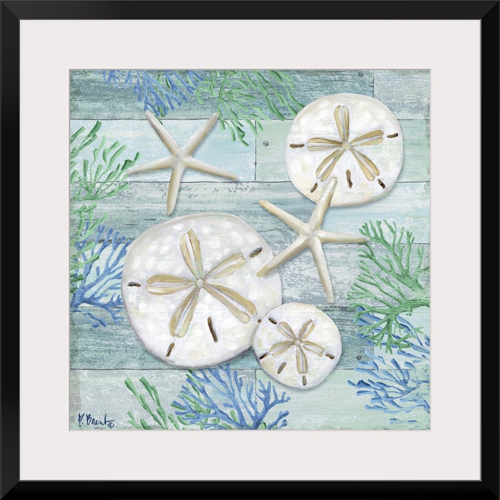 Square sand dollar, starfish and coral decor in light blue, green, and white.