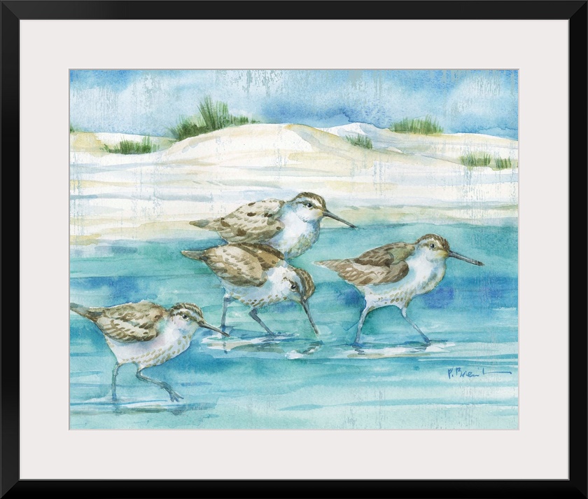 Sandy Sandpipers I