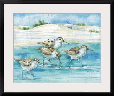 Sandy Sandpipers I