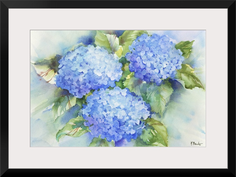 Large watercolor painting of blue hydrangeas.